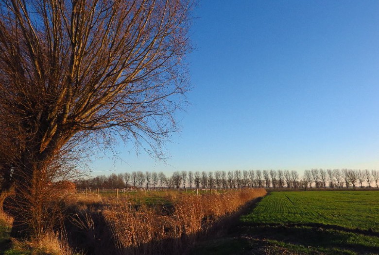 Herbststimmung